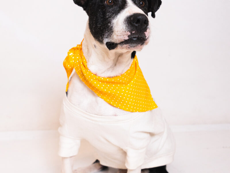 SÓCRATES