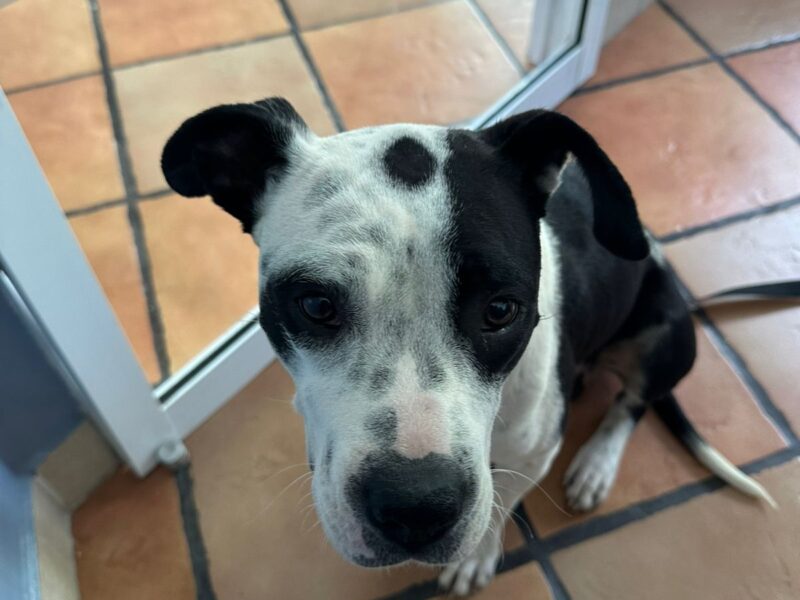 LUNA
