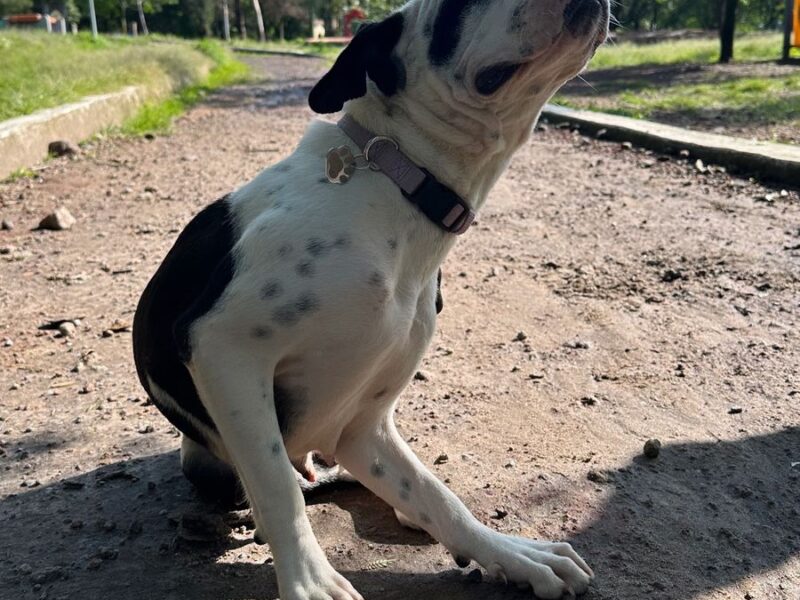 LUNA