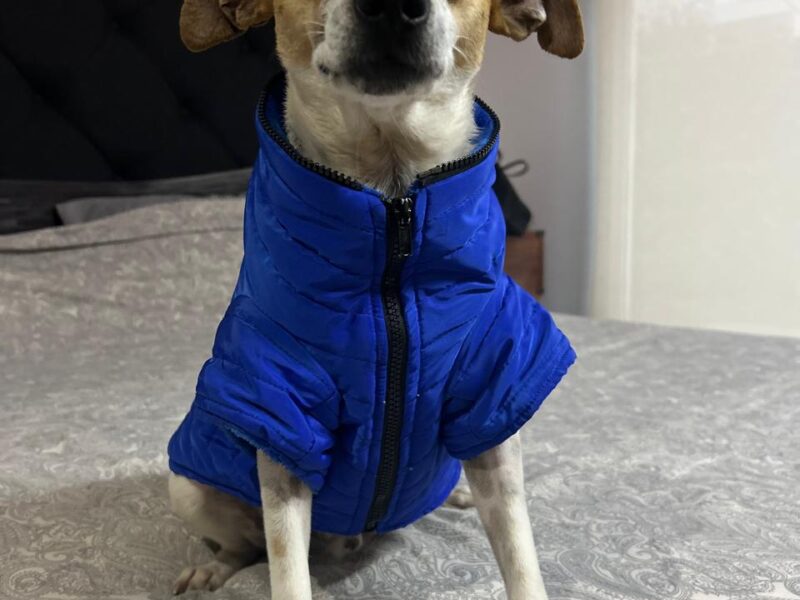 MILO