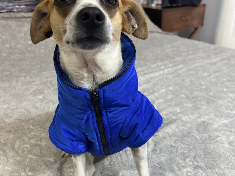 MILO