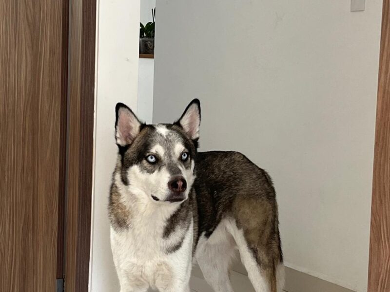 MESSI Y MIA