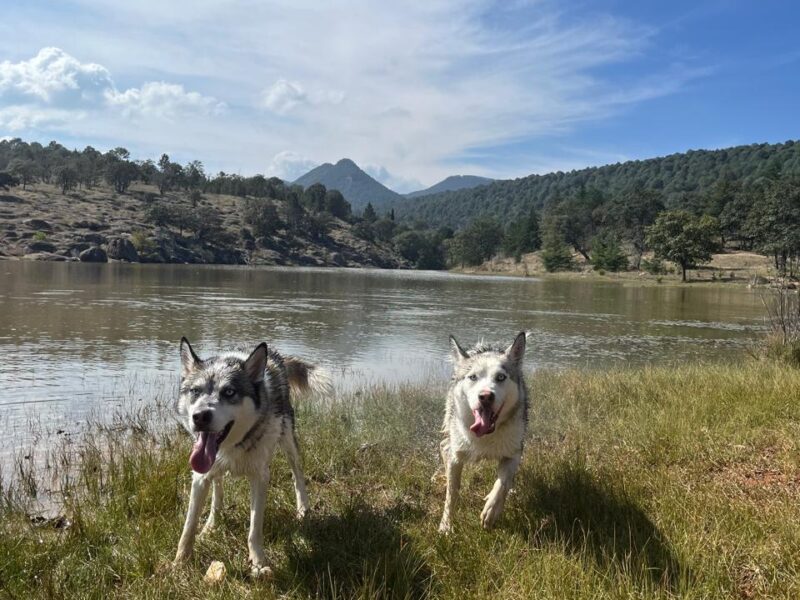 MESSI Y MIA