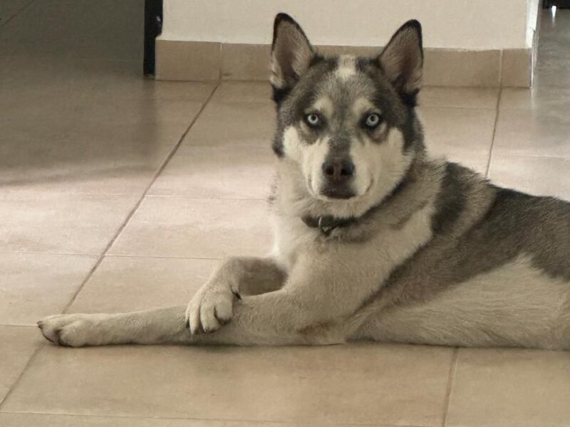 MESSI Y MIA