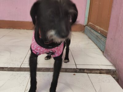 OREO