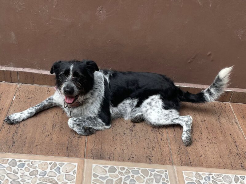 JULIETA