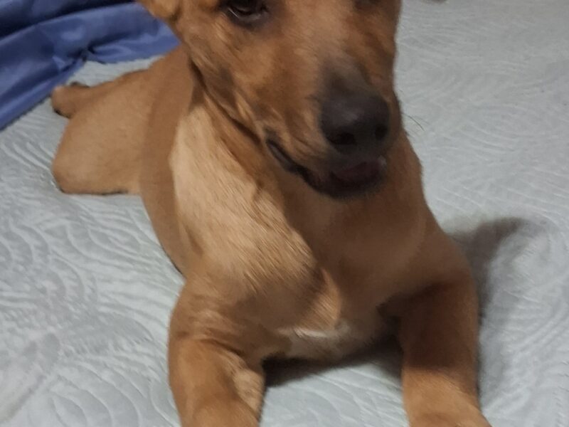 MARVYN