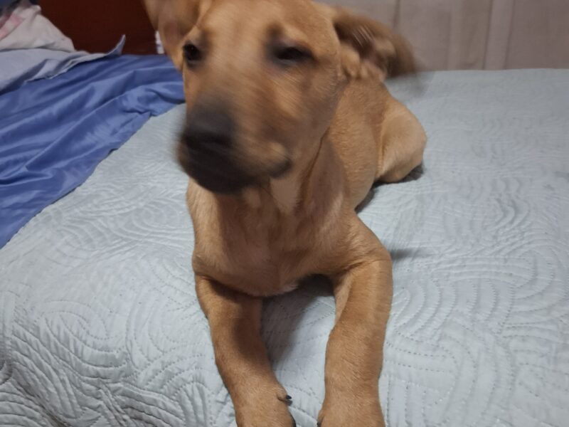 MARVYN