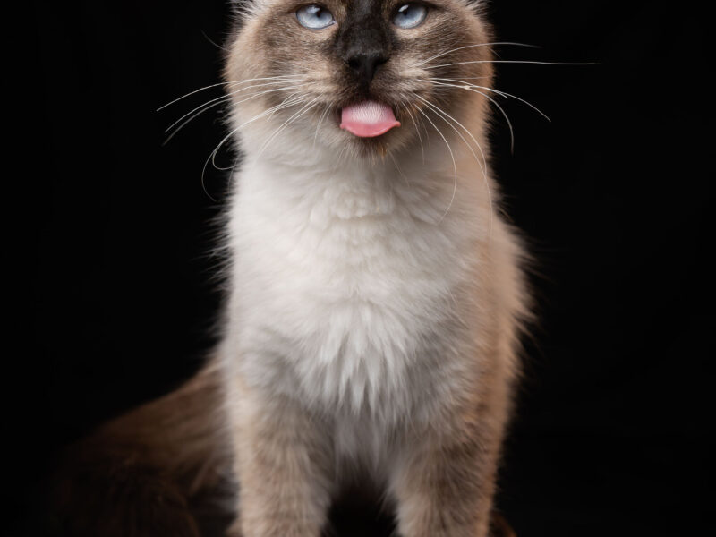NILO