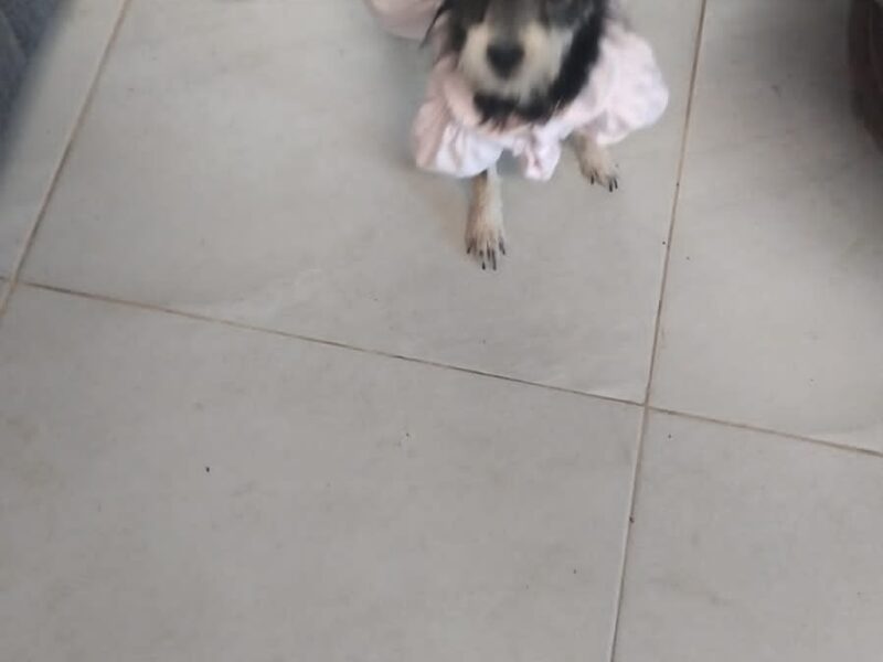 JACINTA