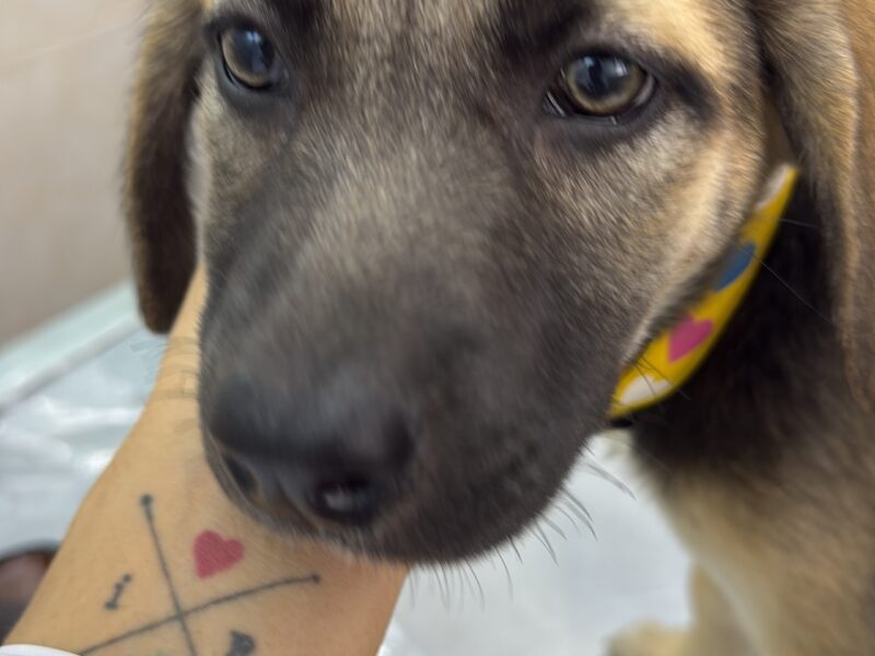 LUNA
