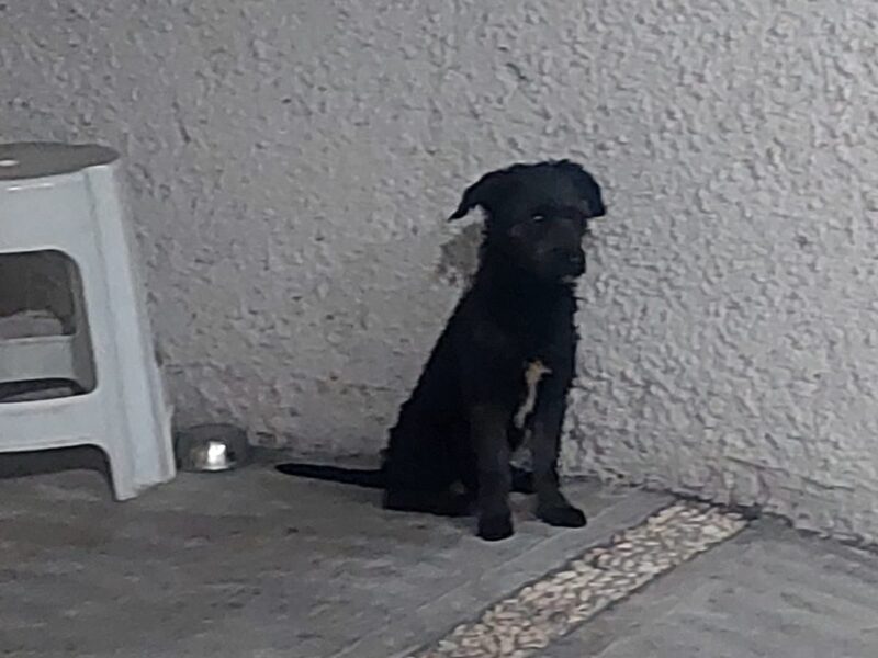 SIRIUS