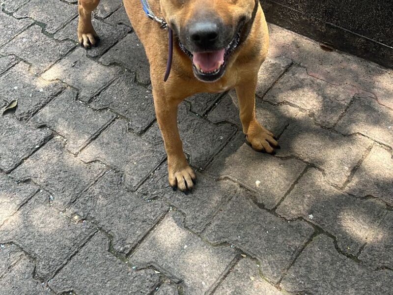 RAMONA