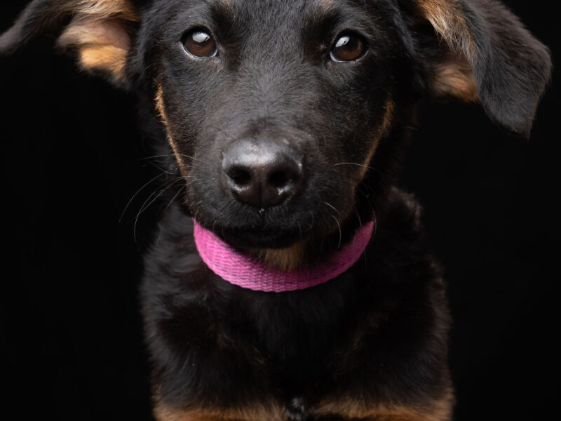 LUNA