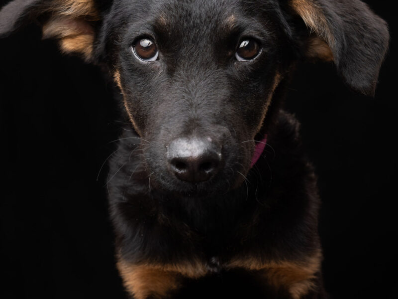 LUNA