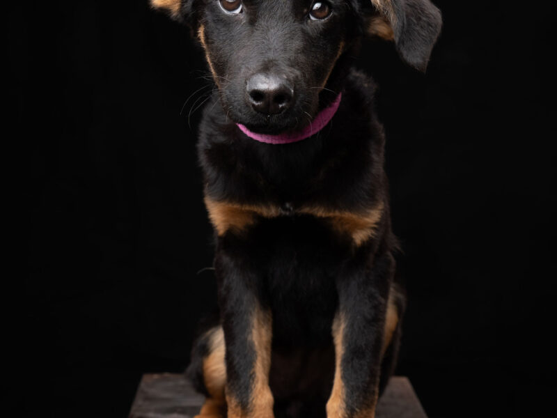 LUNA