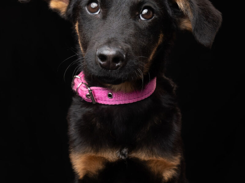 LUNA