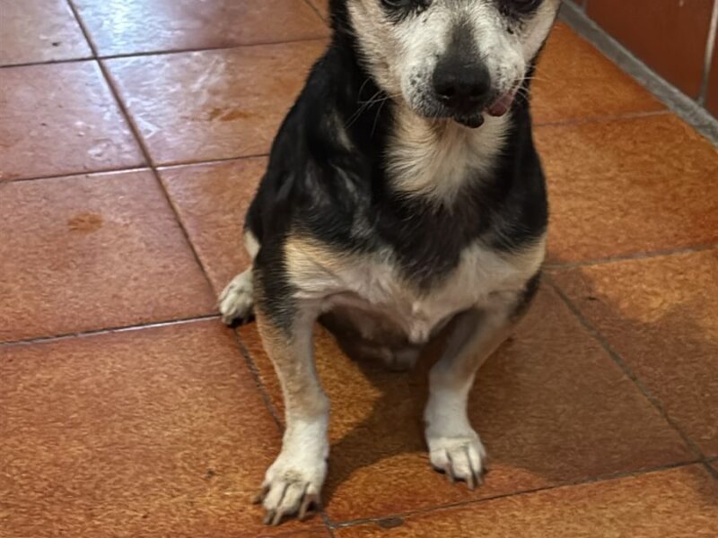 BENITO