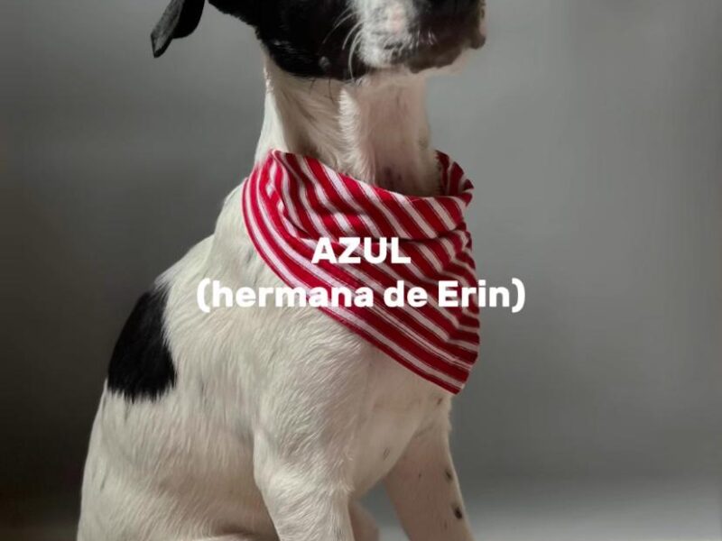 ERIN