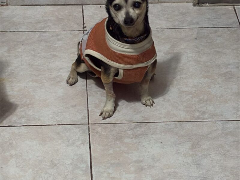 BENITO