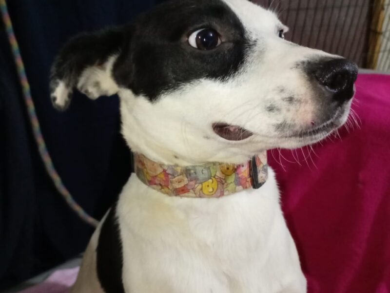 LUNA