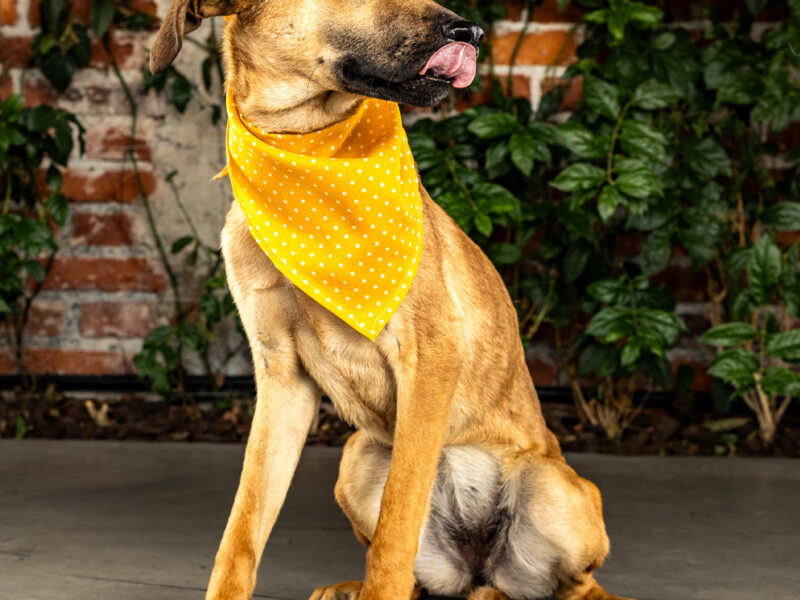 JUNO