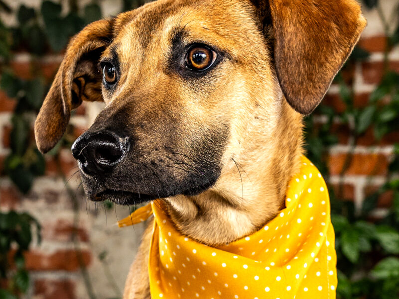 JUNO