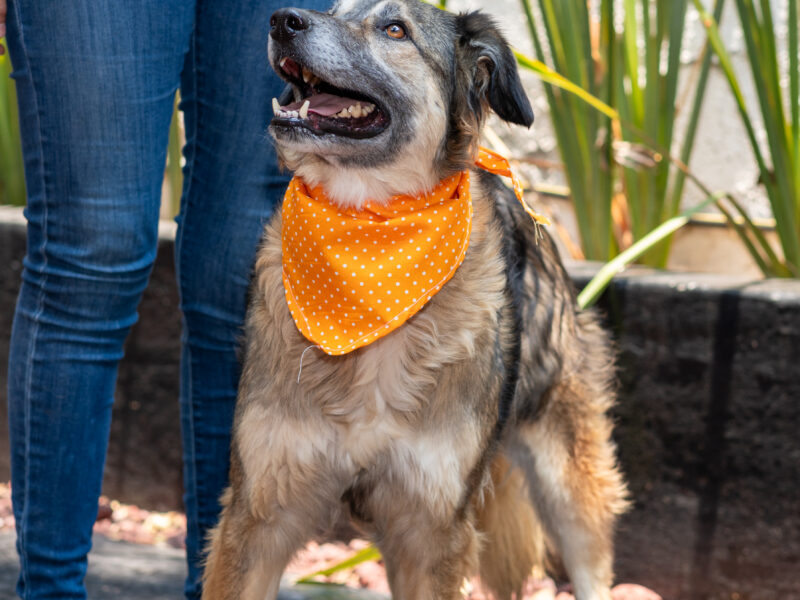 OSITA