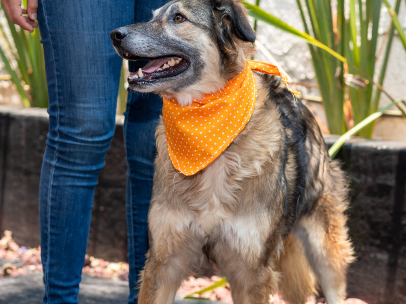 OSITA