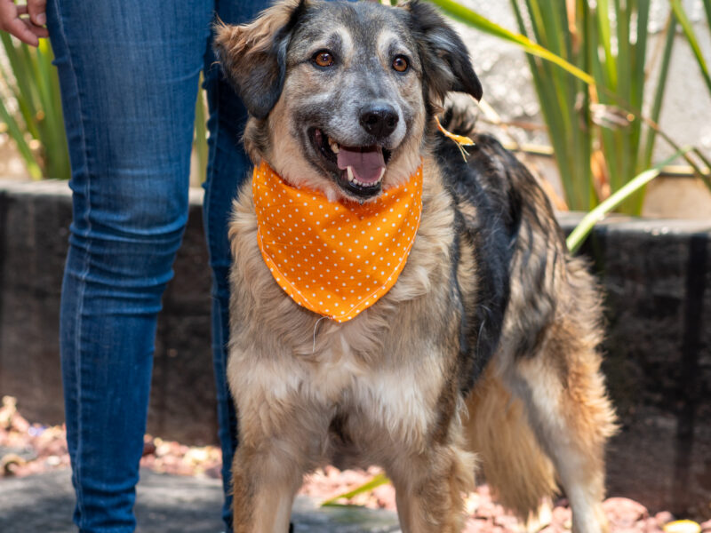 OSITA