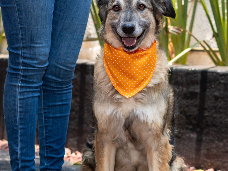 OSITA