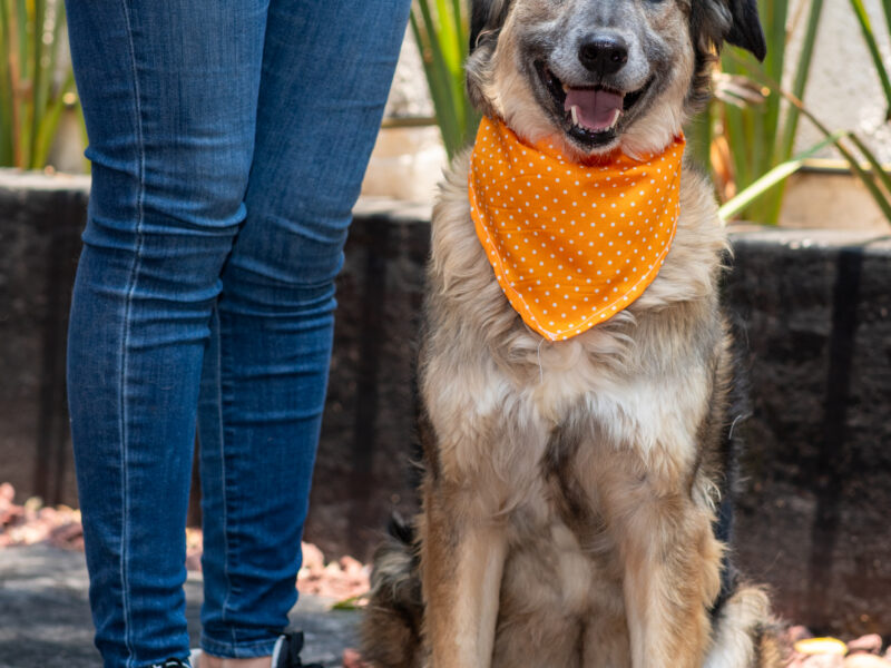 OSITA