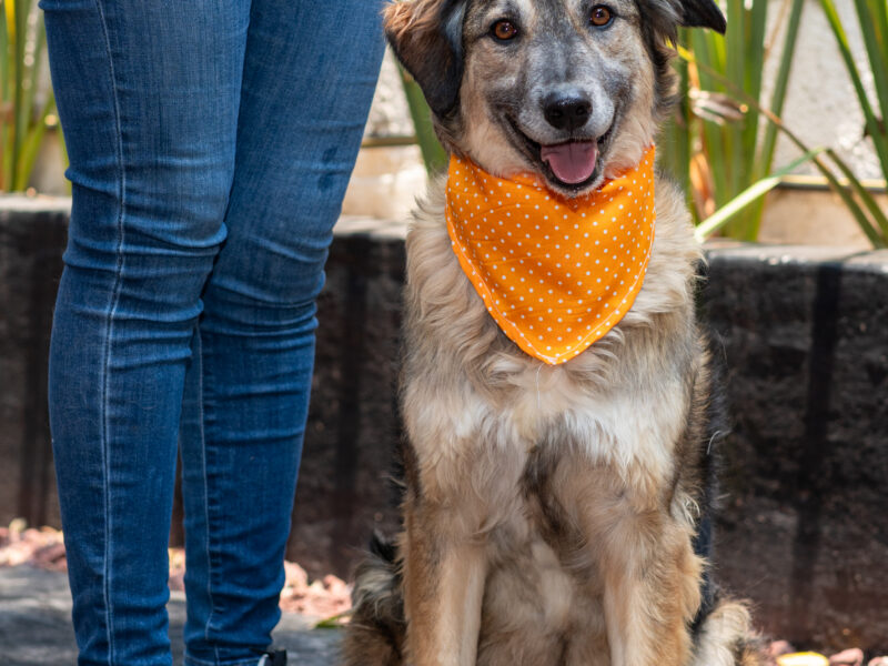 OSITA