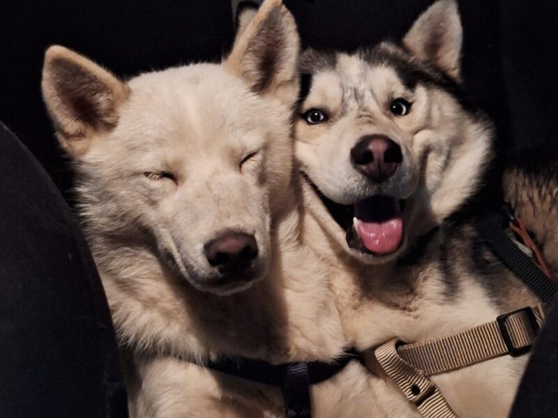 KAI Y LUNA