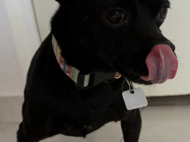 NANU