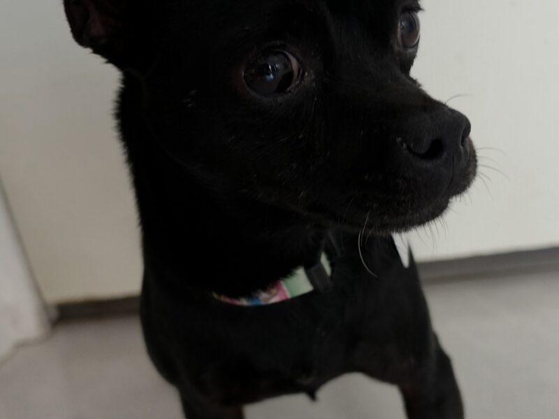 NANU