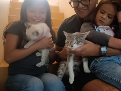 CAÑITA Y TIGRE