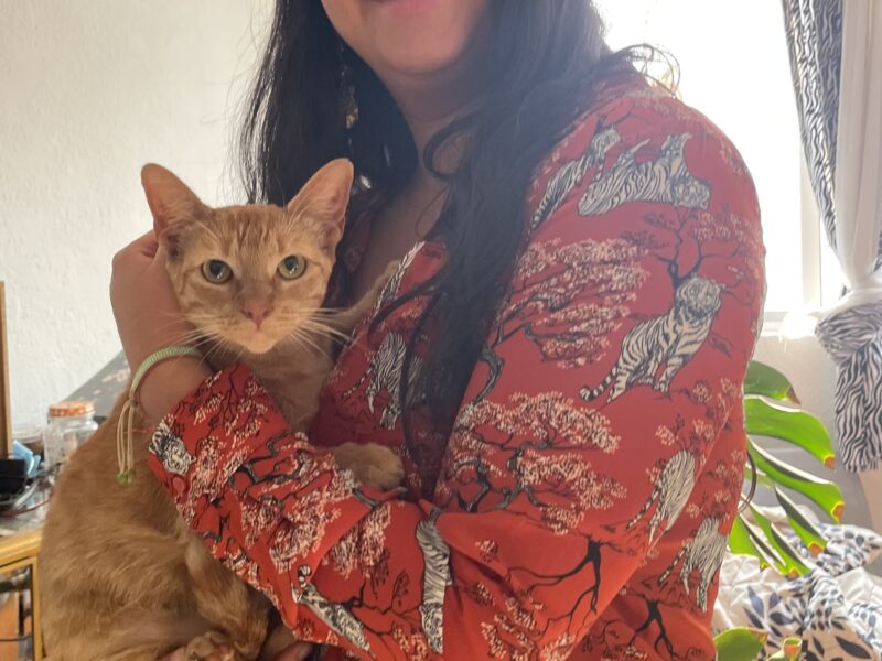 GÜERITA