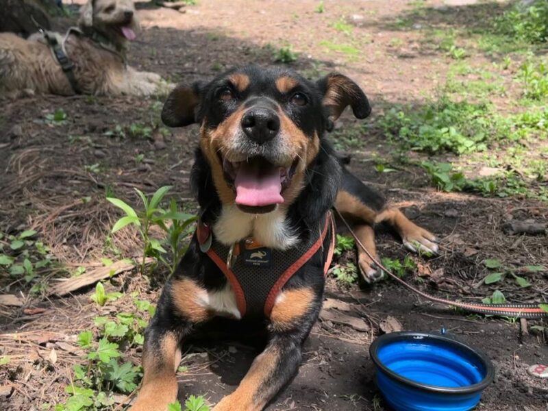 KALI