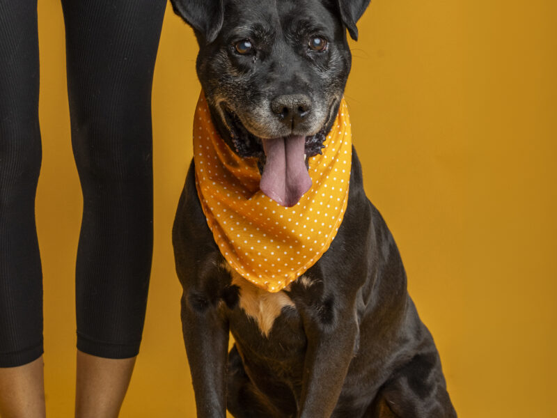 NEGRITO