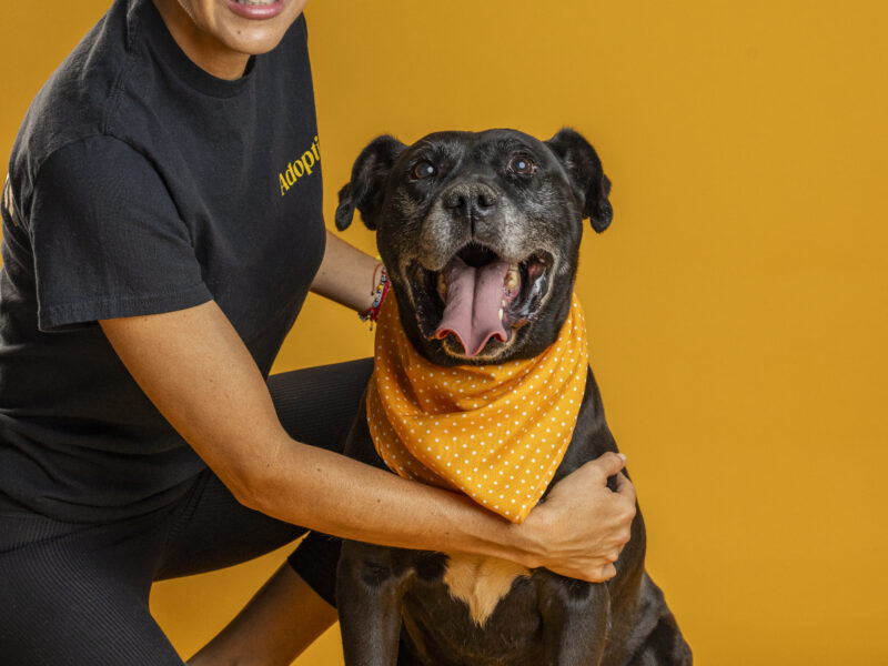 NEGRITO