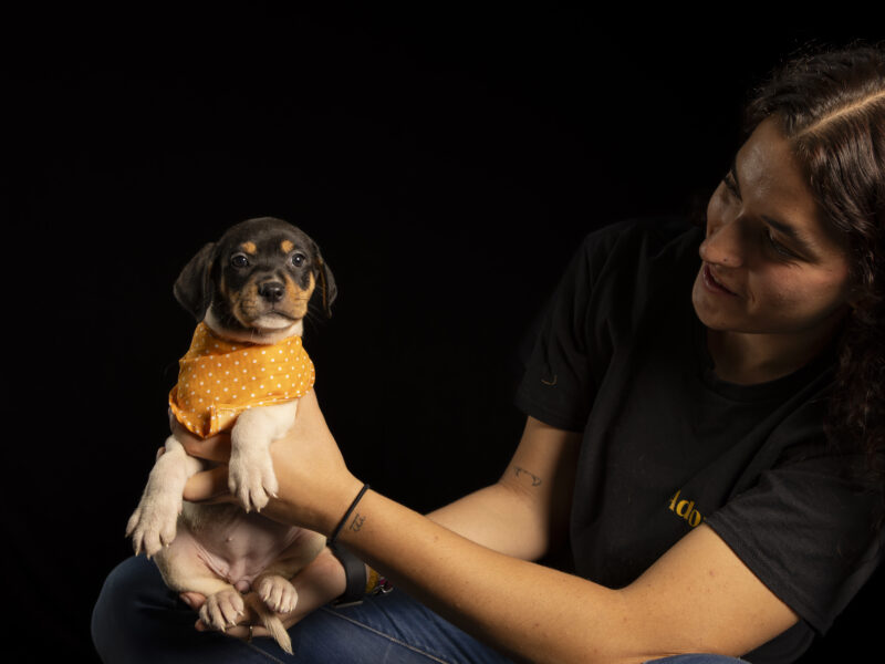 DOXIE