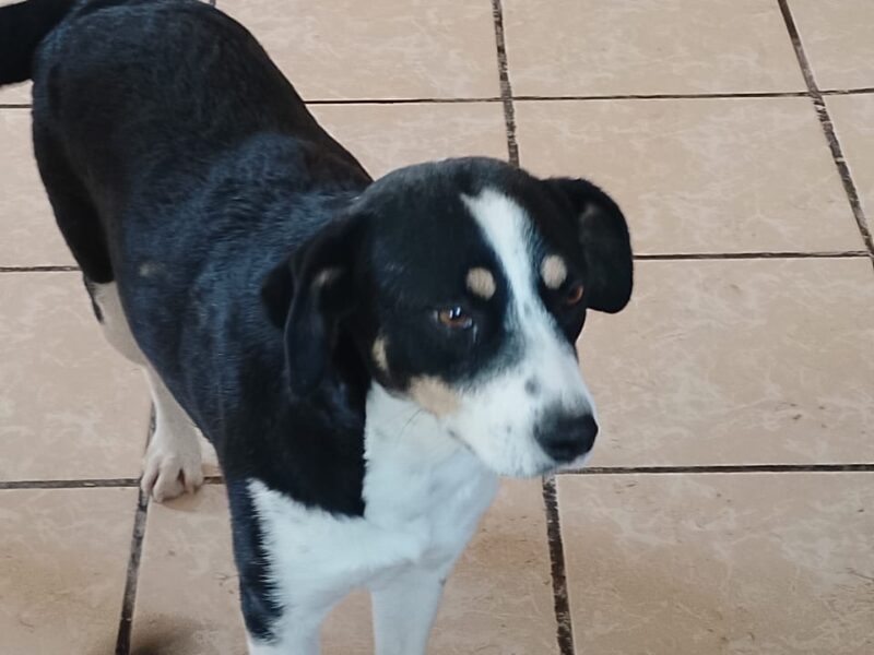 Mimi