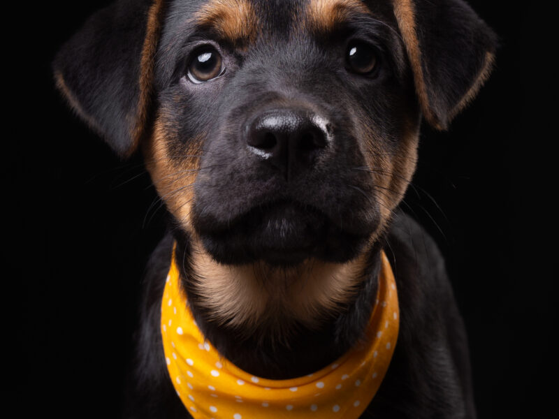 EUGENE