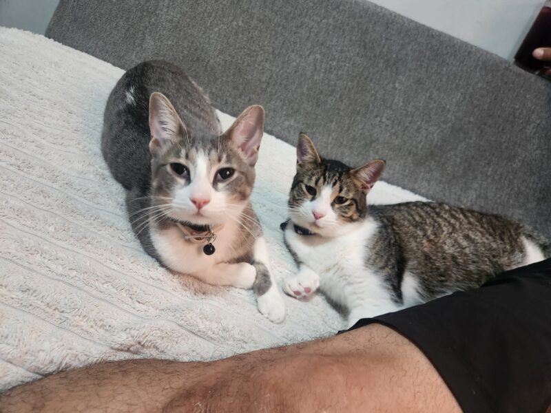 THOR Y PAPASITO