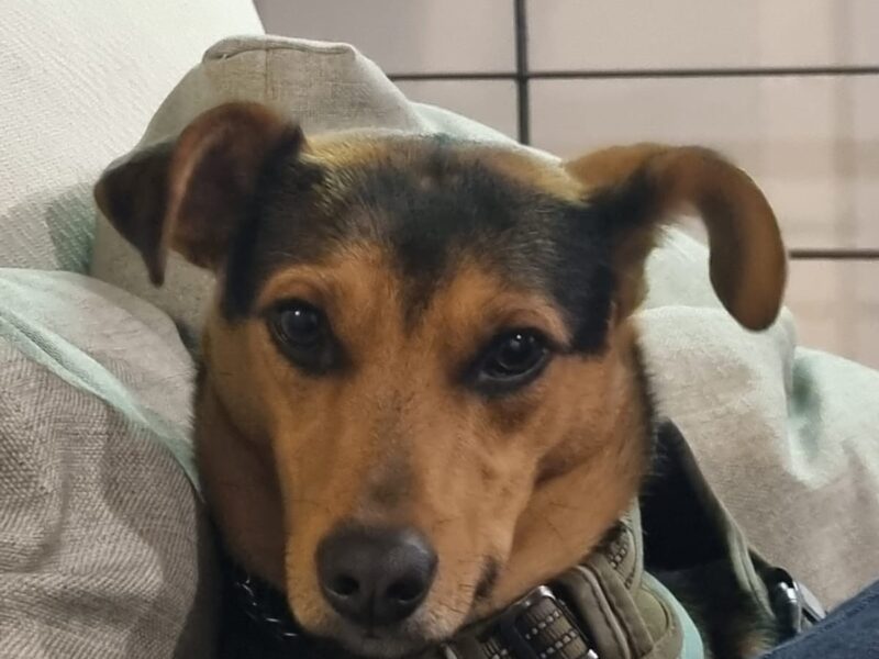 TAQUITO