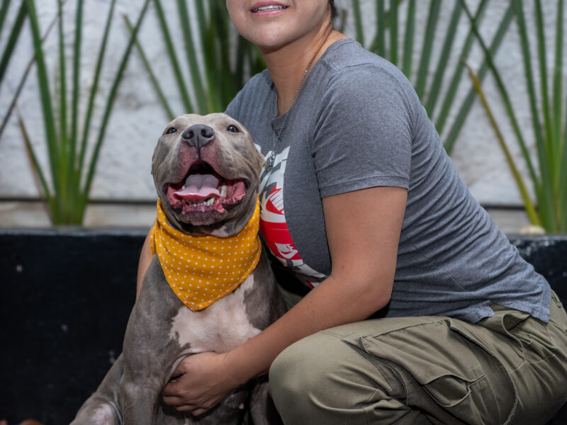 GUAPA