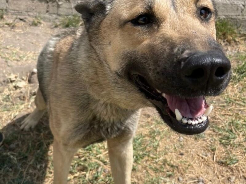 LOBITO