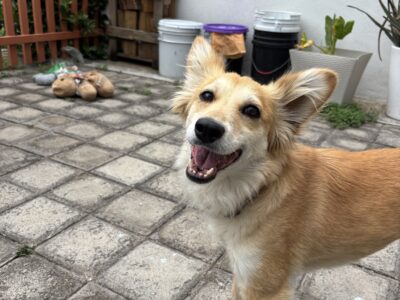 MARLEY