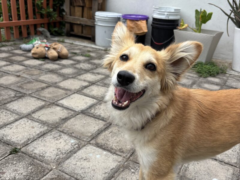 MARLEY